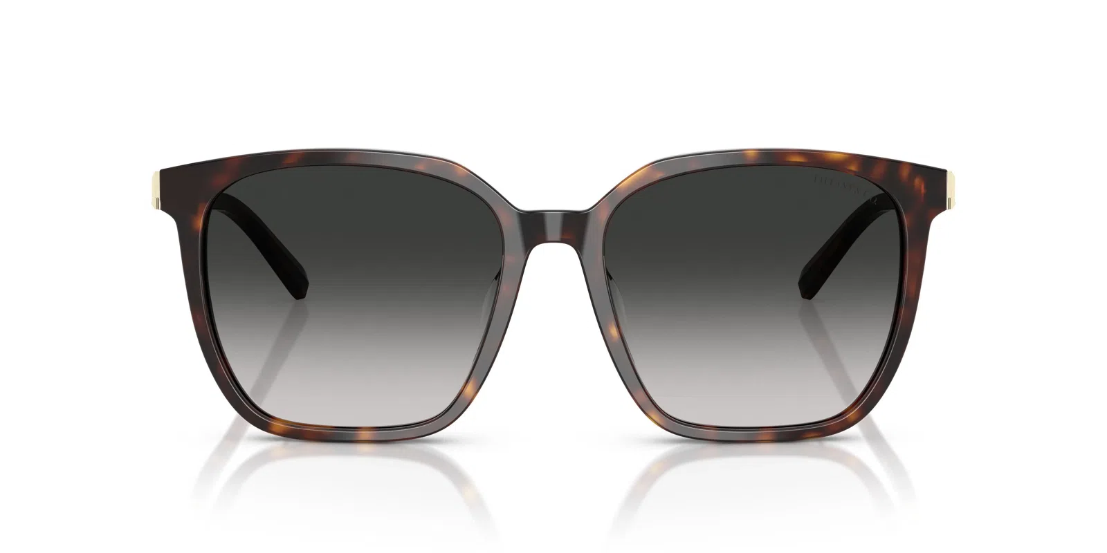 Tiffany 4244D Sunglasses - view 13